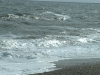 dscf0008 dscf0008