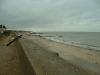 dscf0041 dscf0041
