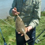 36cm Flounder